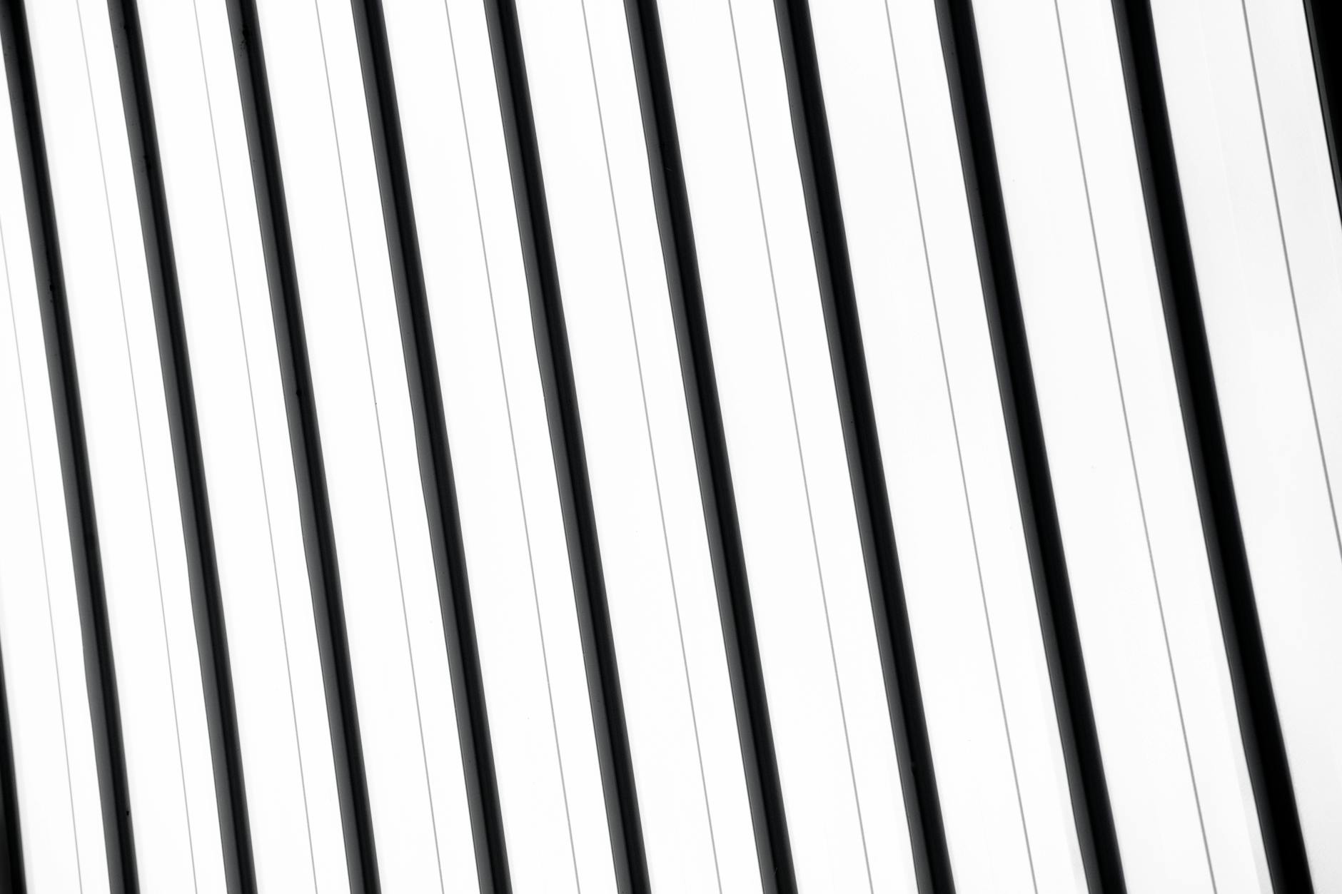 white and black striped